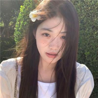 森林之境